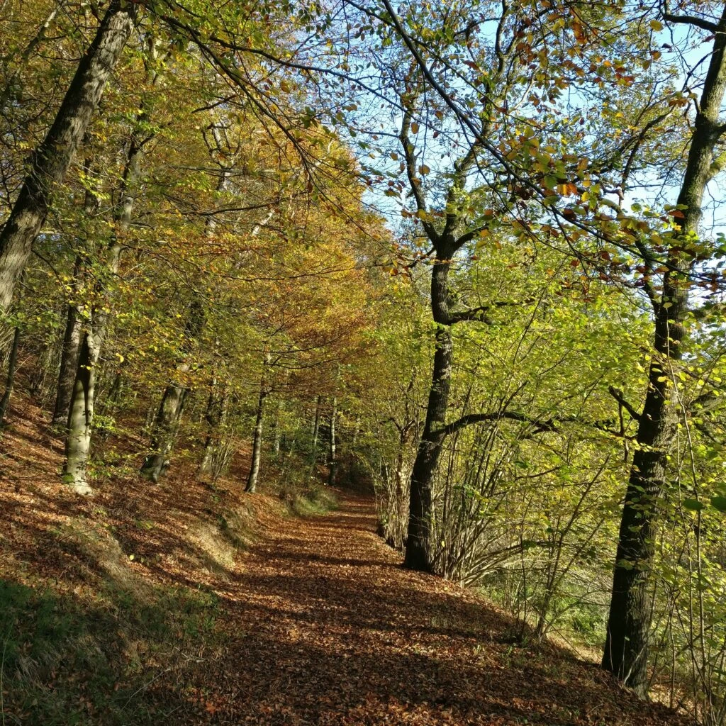 Gute Wanderrouten